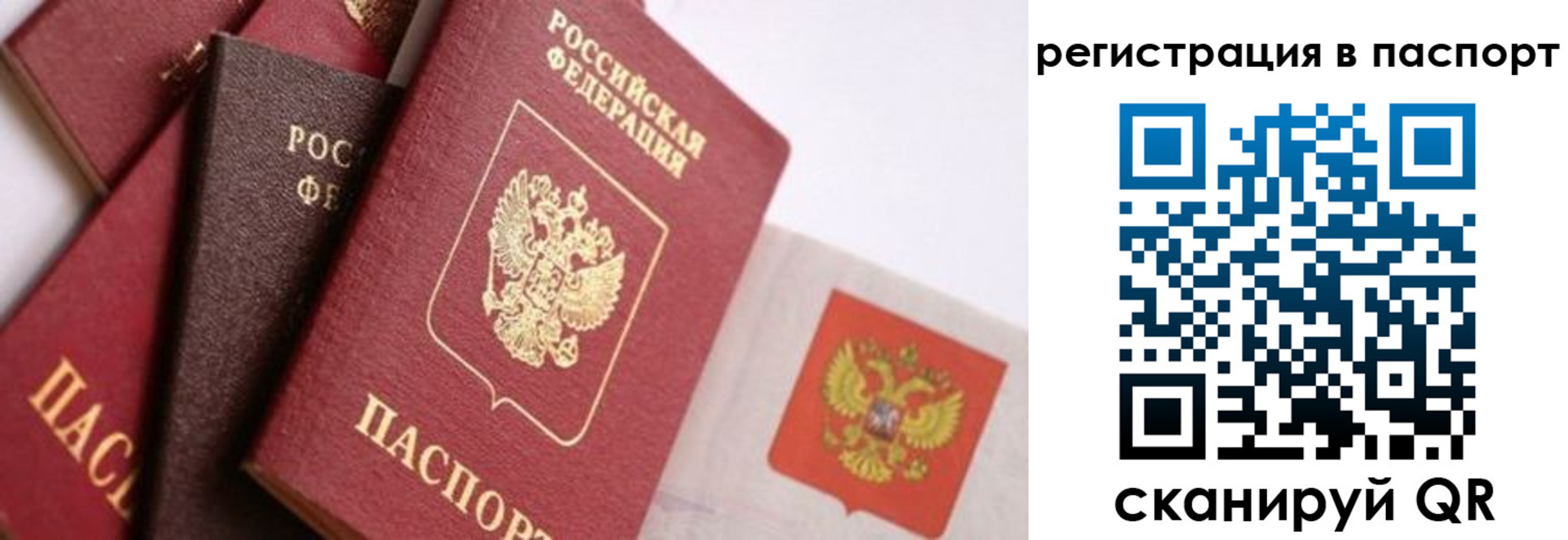 прописка в квартире в Верещагино